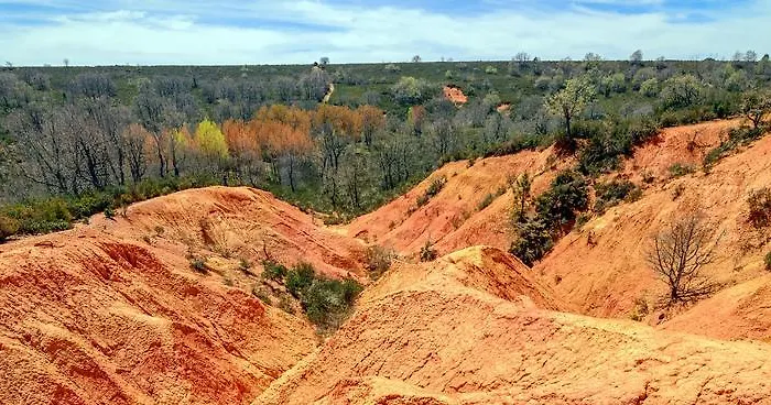 컨트리하우스 El Molino Congosta